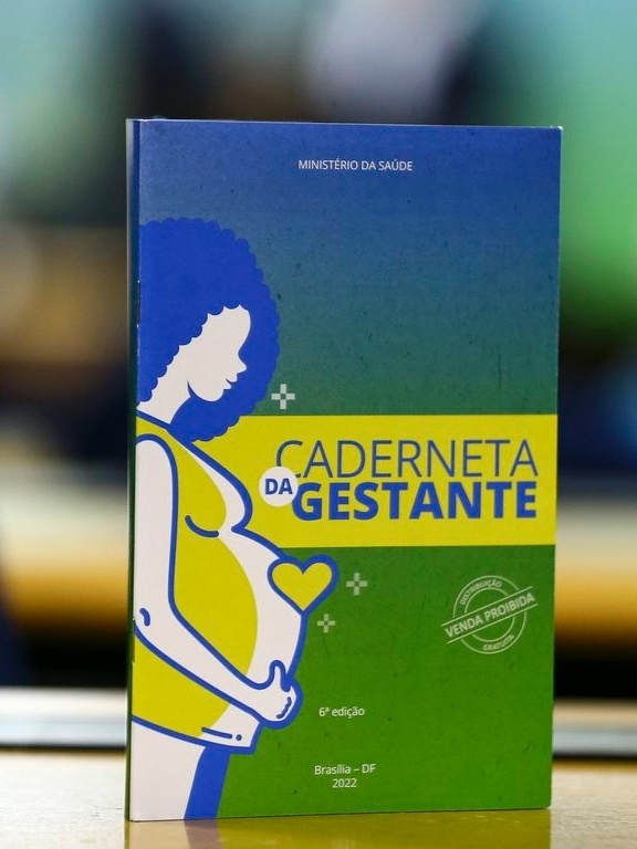 Covid-19 e influenza ainda provocam casos graves entre gestantes no Brasil