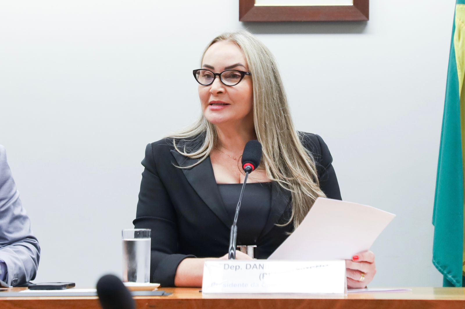 “Mudanças no Proagro deixam milhares de produtores sem proteção e exigem correção urgente”, avalia Daniela Reinehr