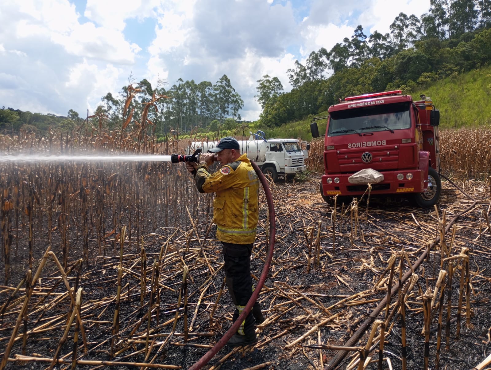 Incêndio atinge lavoura de milho em Serra Alta