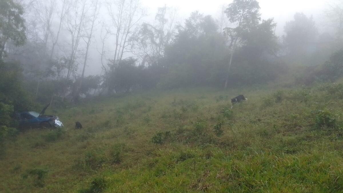 Condutor morre depois de cair em ribanceira de 40 metros