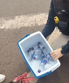 PRF acha remédios ilegais escondidos em caixa térmica