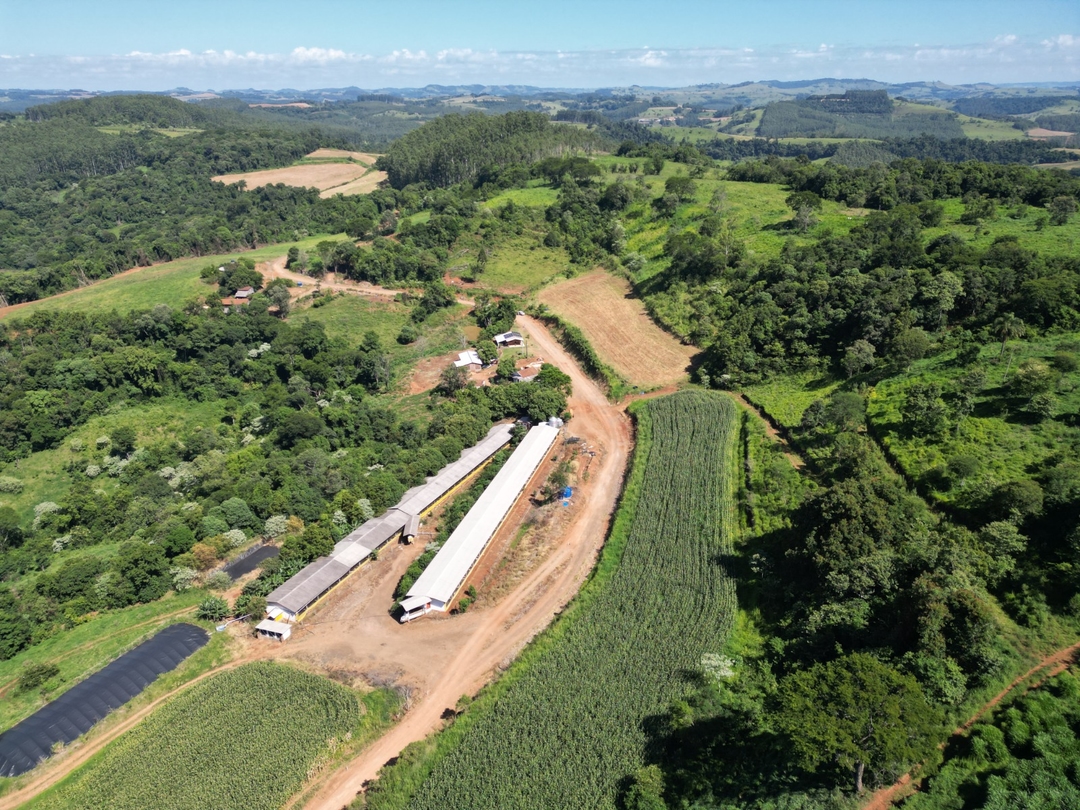 Asfaltamento entre Sul Brasil e Jardinópolis volta a avançar com acompanhamento do prefeito