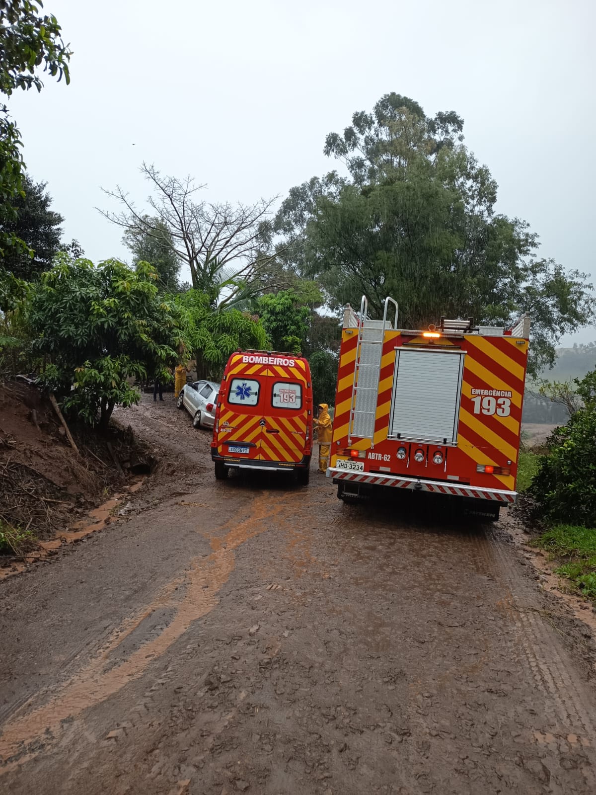Motorista sai da pista, bate em árvore e apresenta sinais de embriaguez em Guaraciaba