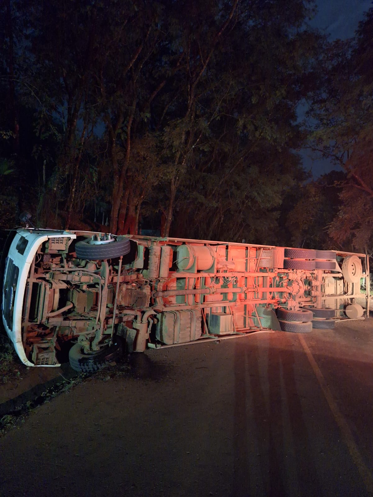Caminhão de suínos tomba em Caibi