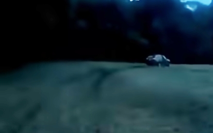 Fuga em lavoura: carona salta em movimento... motorista corre para mato