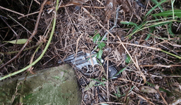 Investigação esclarece crime em Cordilheira Alta