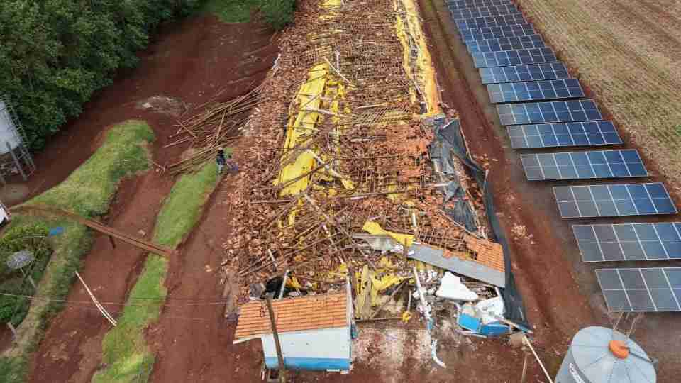 Produtor tem aviário destruído e perde 18 mil frangos