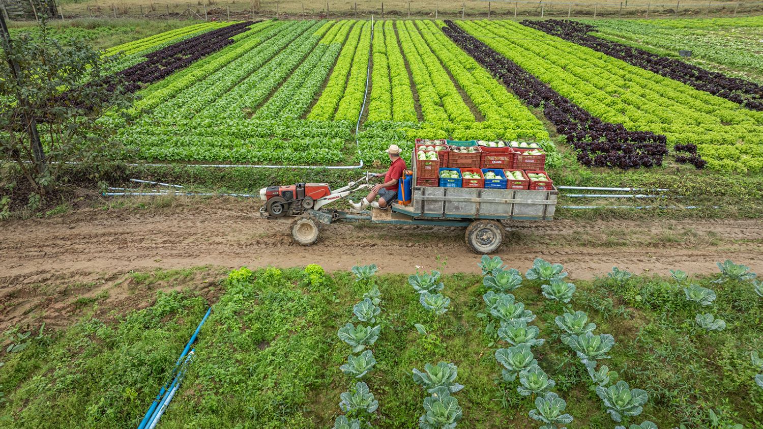 Santa Catarina amplia limite de transferência de créditos de ICMS para produtores rurais
