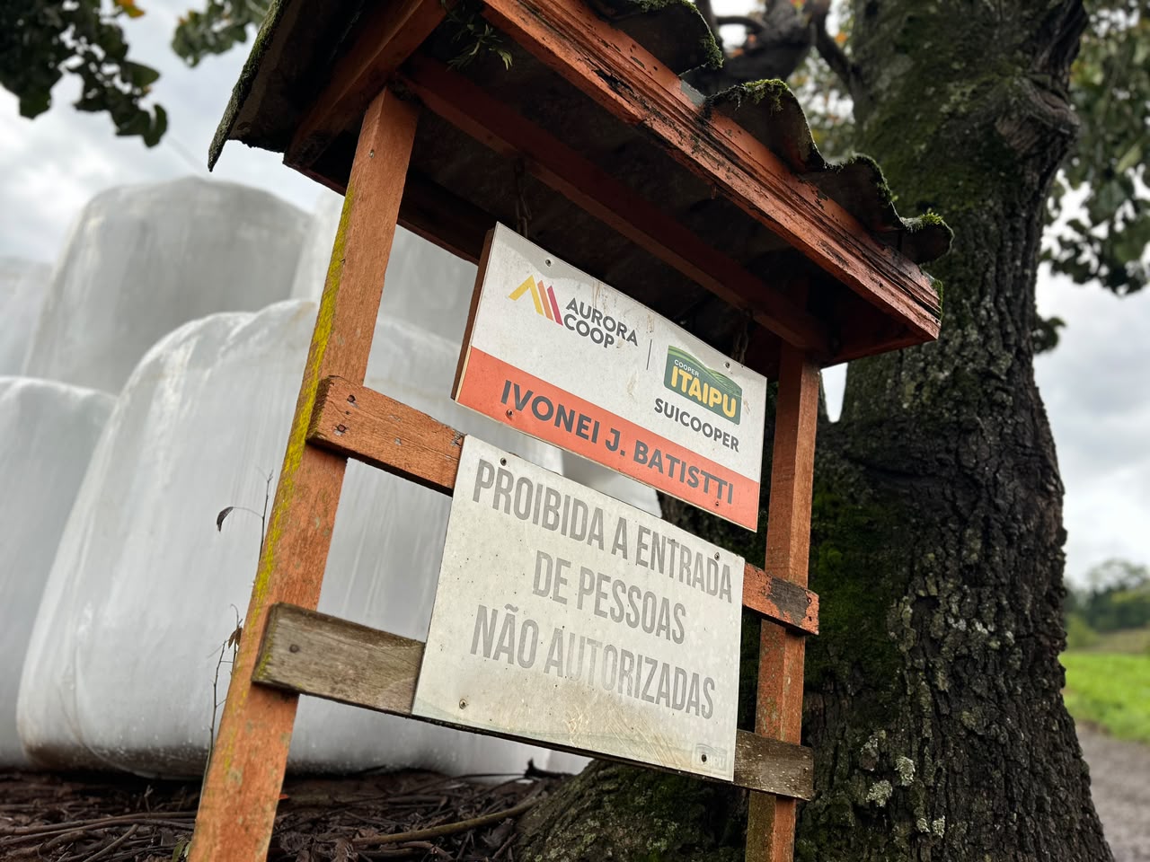 Sucesso e união familiar marcam trajetória da família Batistti no interior de Pinhalzinho