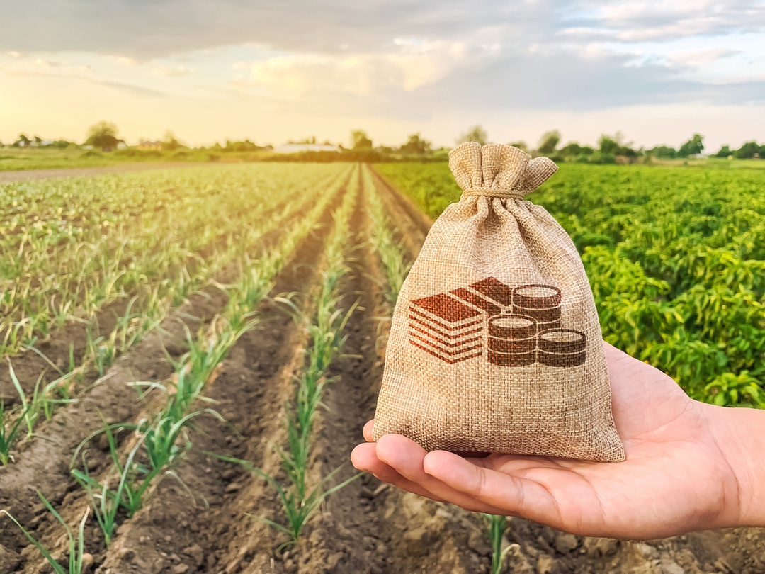 Produtores rurais de Pinhalzinho têm até 30 de junho para solicitar o Bônus Fiscal 2026