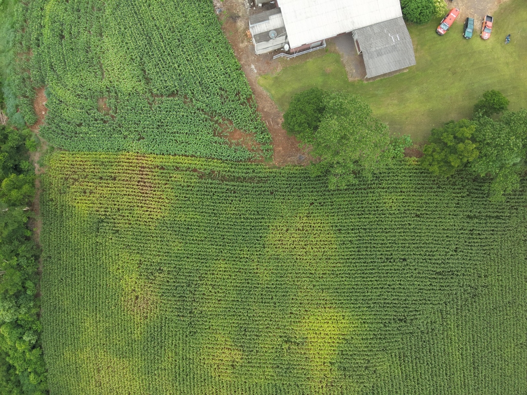 Drone com câmera térmica auxilia bombeiros a encontrar homem no interior de Itapiranga