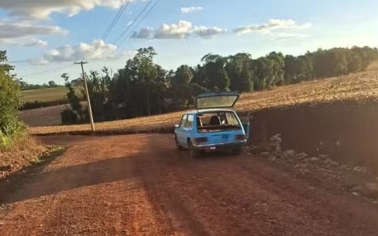 Ataque de abelhas assusta comunidade no Rio Grande do Sul