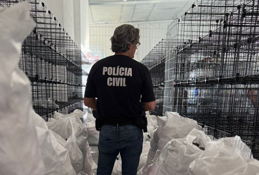 Marcas de luxo na mira: Polícia apreende 50 mil roupas falsificadas