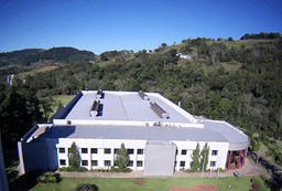 Dass de Saudades se une ao Grêmio em nova parceria de uniformes