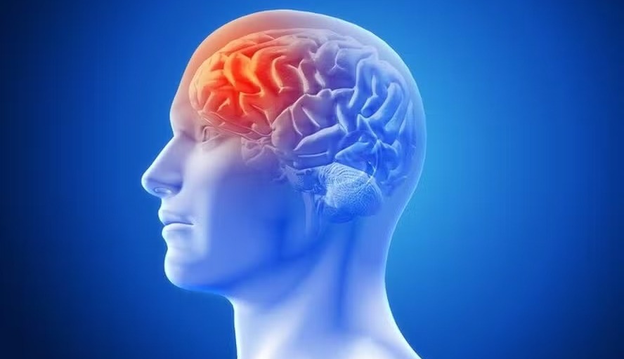 Calor e desidratação elevam risco de AVC durante o verão