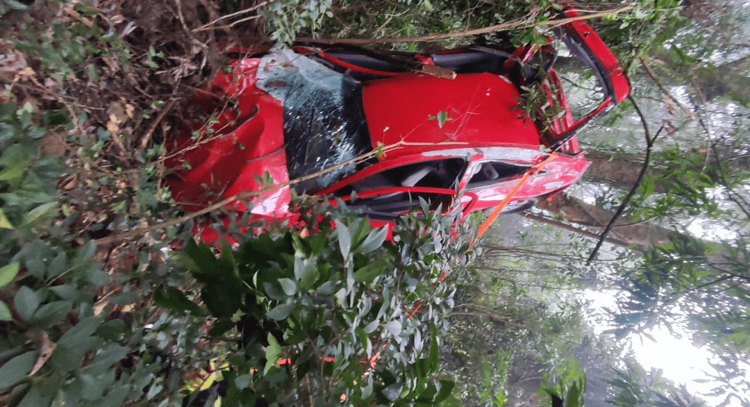 Condutor fica gravemente ferido ao cair de 50 metros
