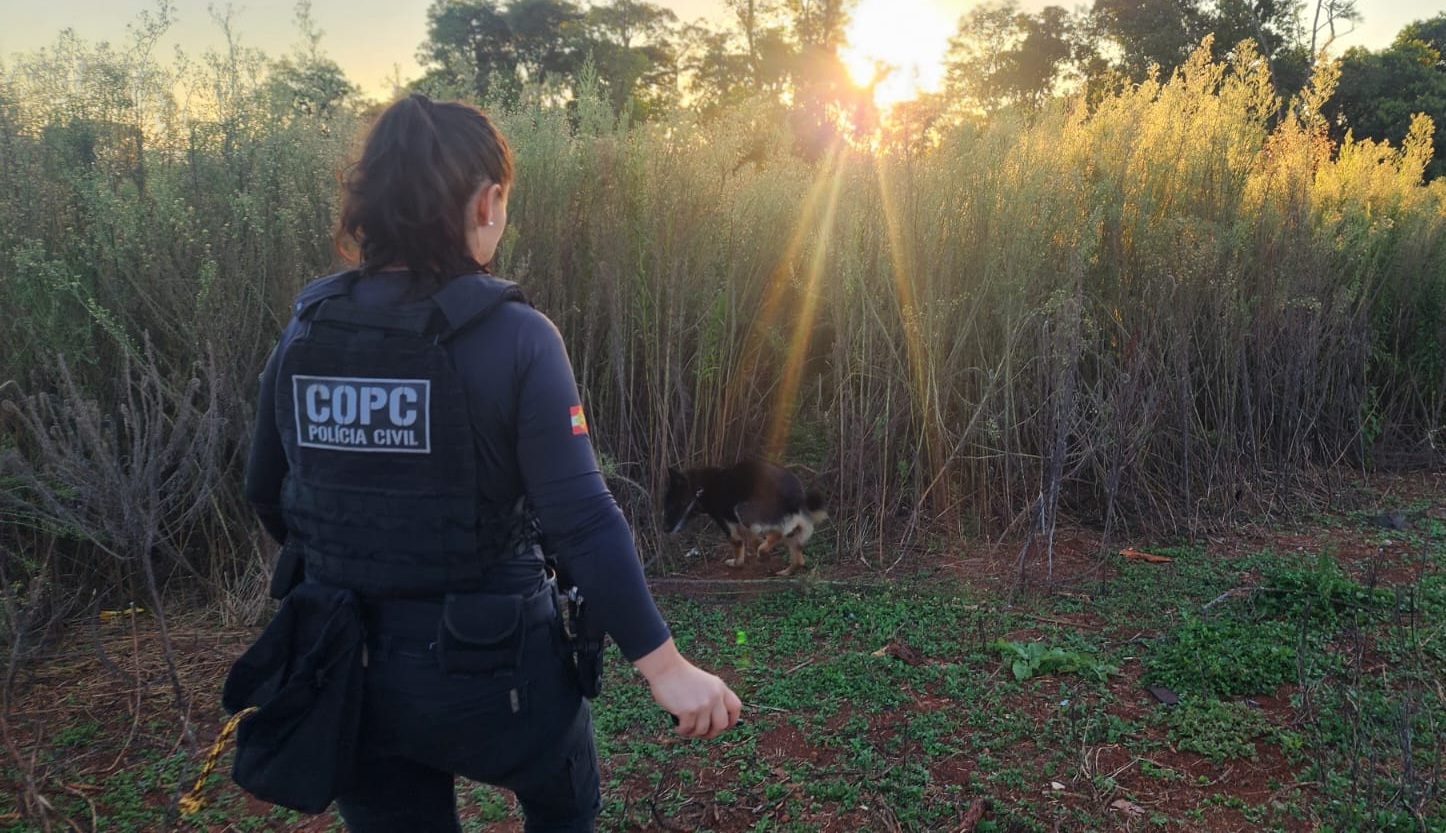 Operação "Ruptura" movimenta policiais em Pinhalzinho