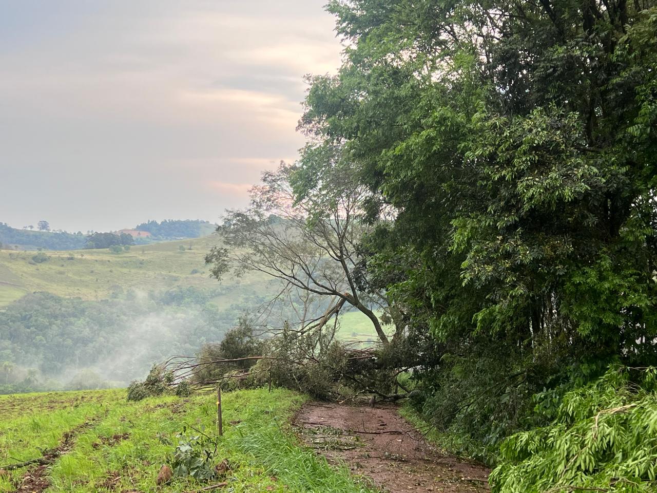 Temporal deixa árvores sobre estradas e causa danos em imóveis e na rede elétrica em Anchieta