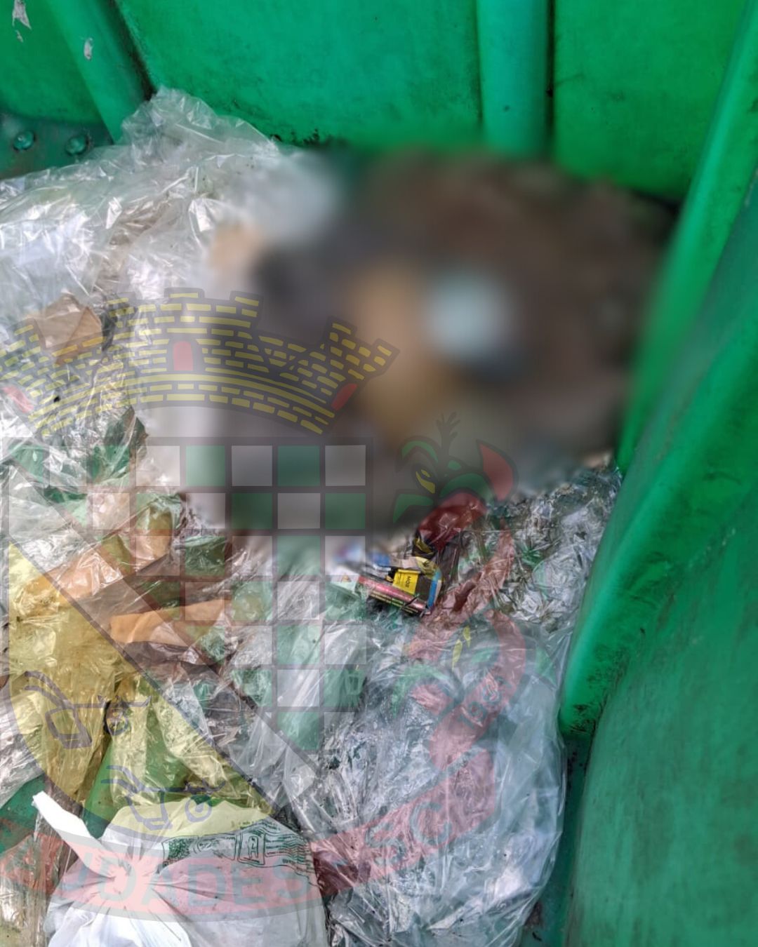 Descarte incorreto de animais mortos preocupa autoridades municipais