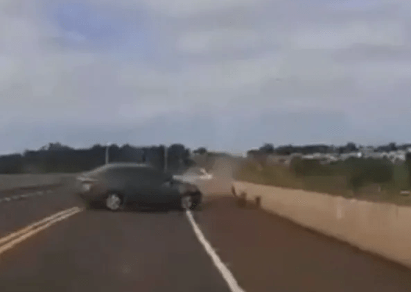 Imagens fortes mostram batida e veículo rodando na rodovia