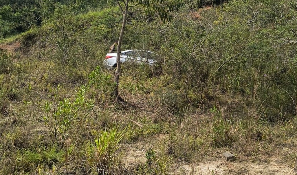 Polícia recupera nove automóveis furtados em menos de 24 horas