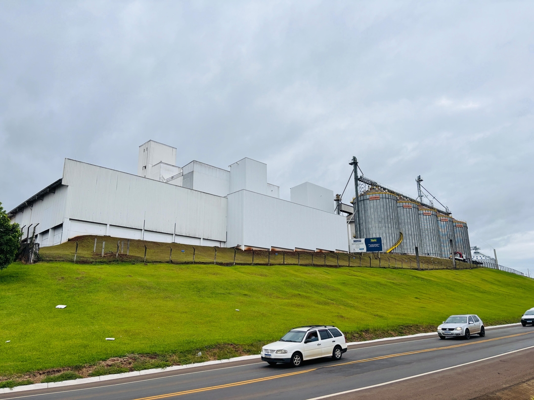 Indústria de farinhas Itaipu se transforma em potência nacional do trigo