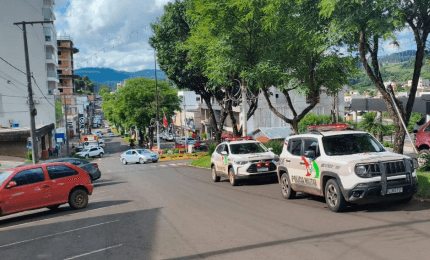 Senhora luta com pitbull durante ataque a cachorrinha dela