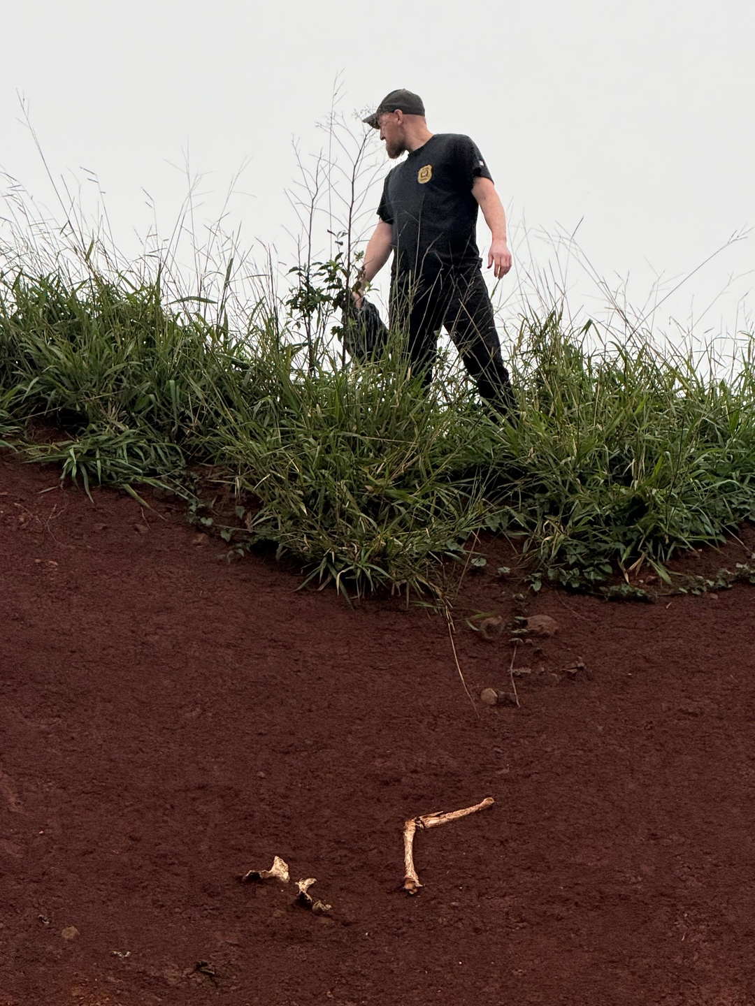 Restos ósseos encontrados em Pinhalzinho não são humanos