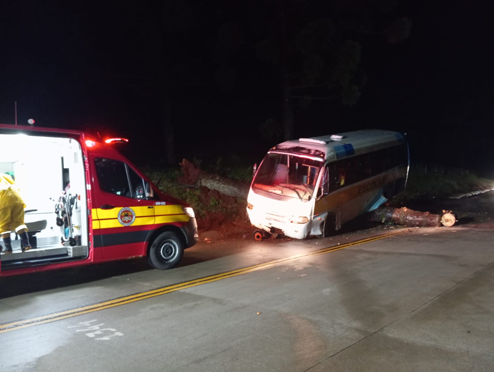 Árvore de grande porte cai e provoca acidente com micro-ônibus em Campo Erê