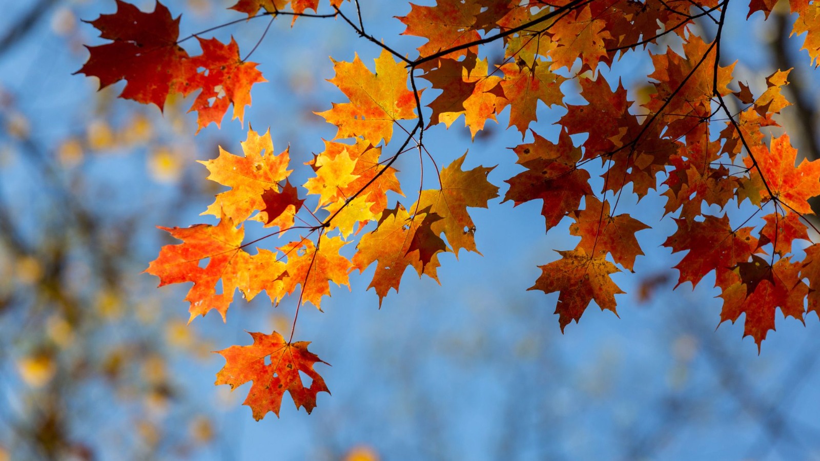 Previsão indica outono mais quente e com chuva abaixo da média no Oeste catarinense
