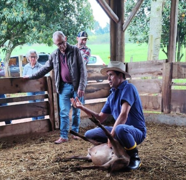Capacitação orienta produtores sobre manejo e cuidados na criação de ovinos em Modelo
