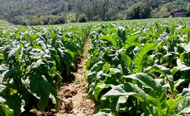 LDO 2027 prevê orçamento de R$ 64 bilhões e começa a tramitar na Alesc