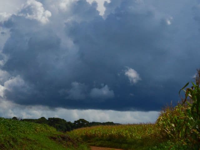 Ventos fortes e chuvas intensas em SC: laudos meteorológicos auxiliam agricultores catarinenses
