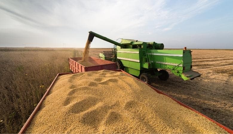 EUA perdem espaço no mercado chinês de soja para Brasil e Argentina