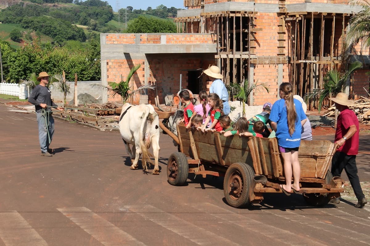 VÍDEO! "Aluninhos" de creche vivenciam passeio de carroça no interior de Pinhalzinho