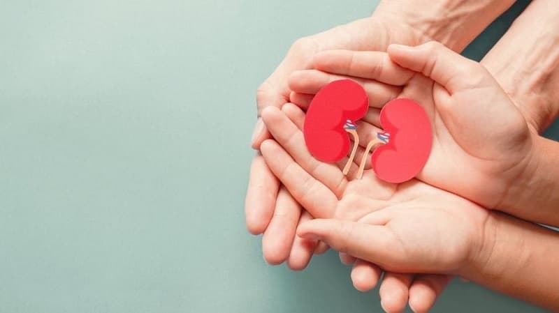 Doenças renais são silenciosas e podem levar a morte (Foto: Imagem: iStock/UOL)