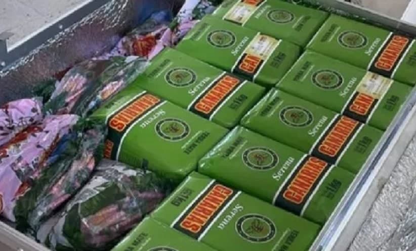 Seleção argentina leva erva-mate produzida no RS para o Catar