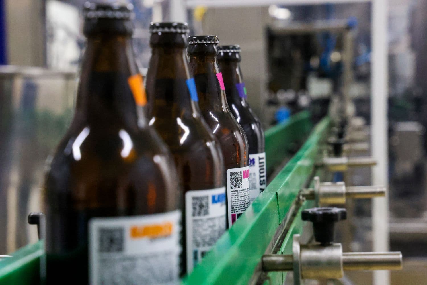 Santa Catarina lidera abertura de novas cervejarias em 2024 e se consolida como polo cervejeiro