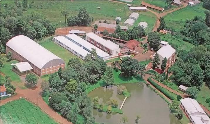 Colégio agrícola inaugura aviário-escola de alta tecnologia