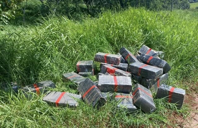 Droga jogada no mato após condutora ser rendida (Foto: Polícia Militar)