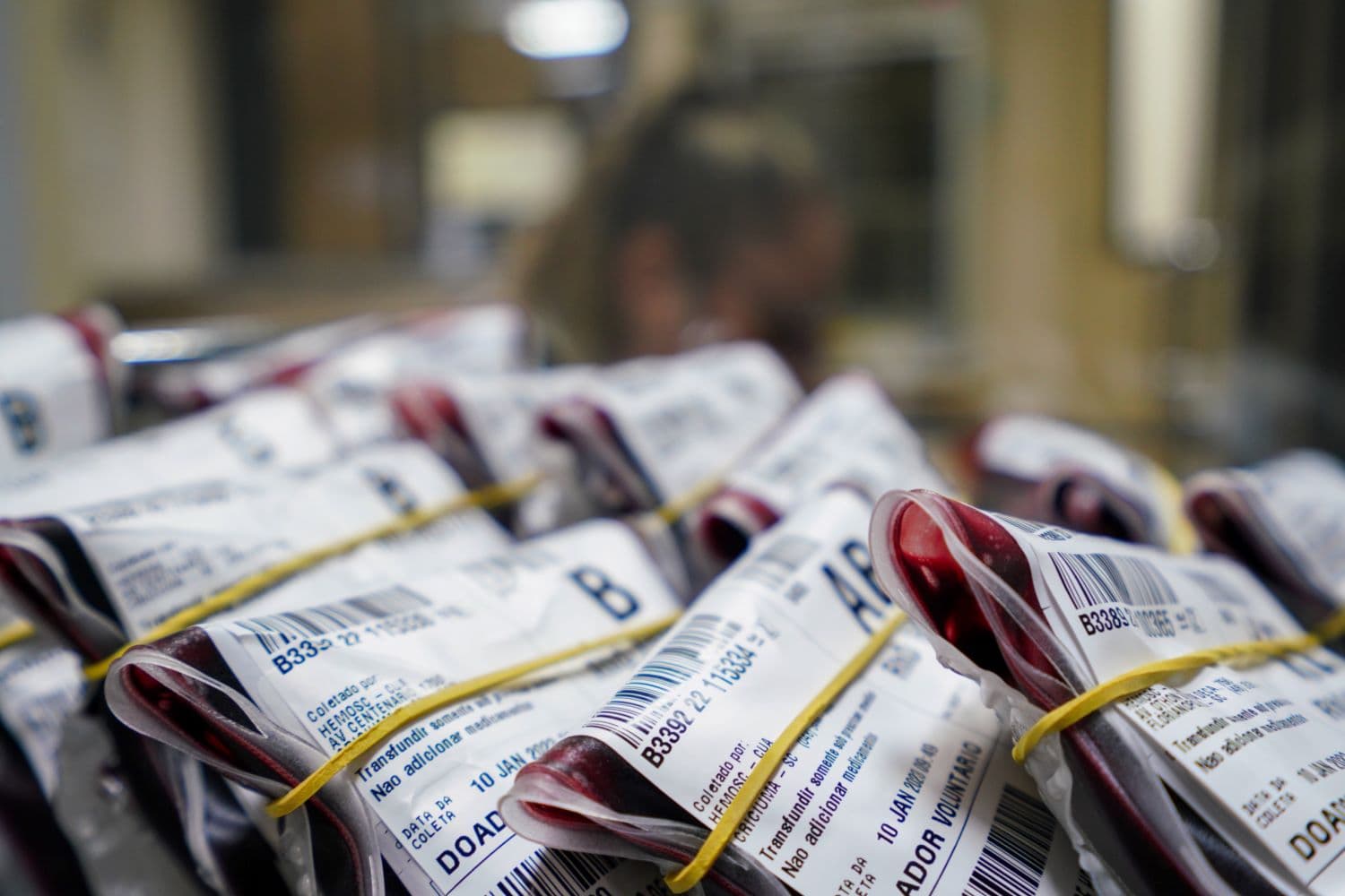 HEMOSC chama população para repor estoques de sangue (Foto: Marco Favero/Arquivo/Secom)