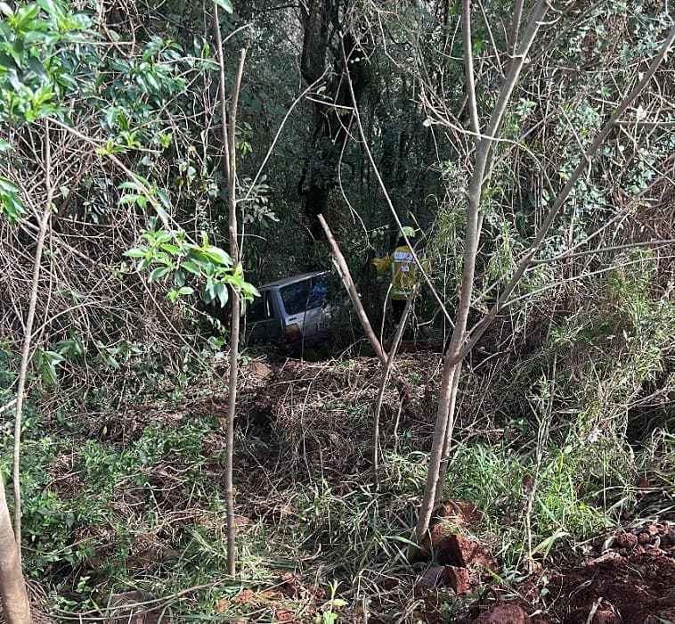 Uno cai em ribanceira ficando "escondido" no mato