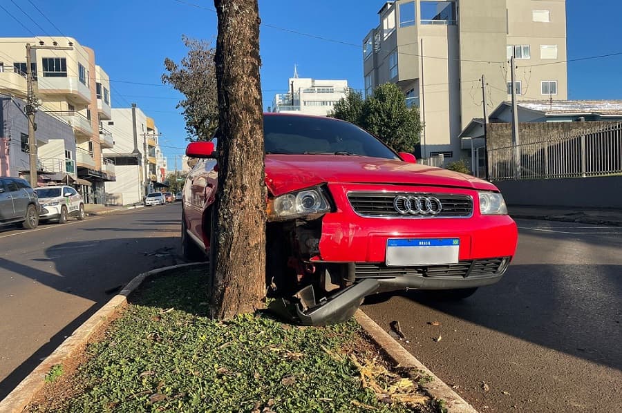 Automóvel atingiu árvore (Foto: Henrique Paulo Koch)