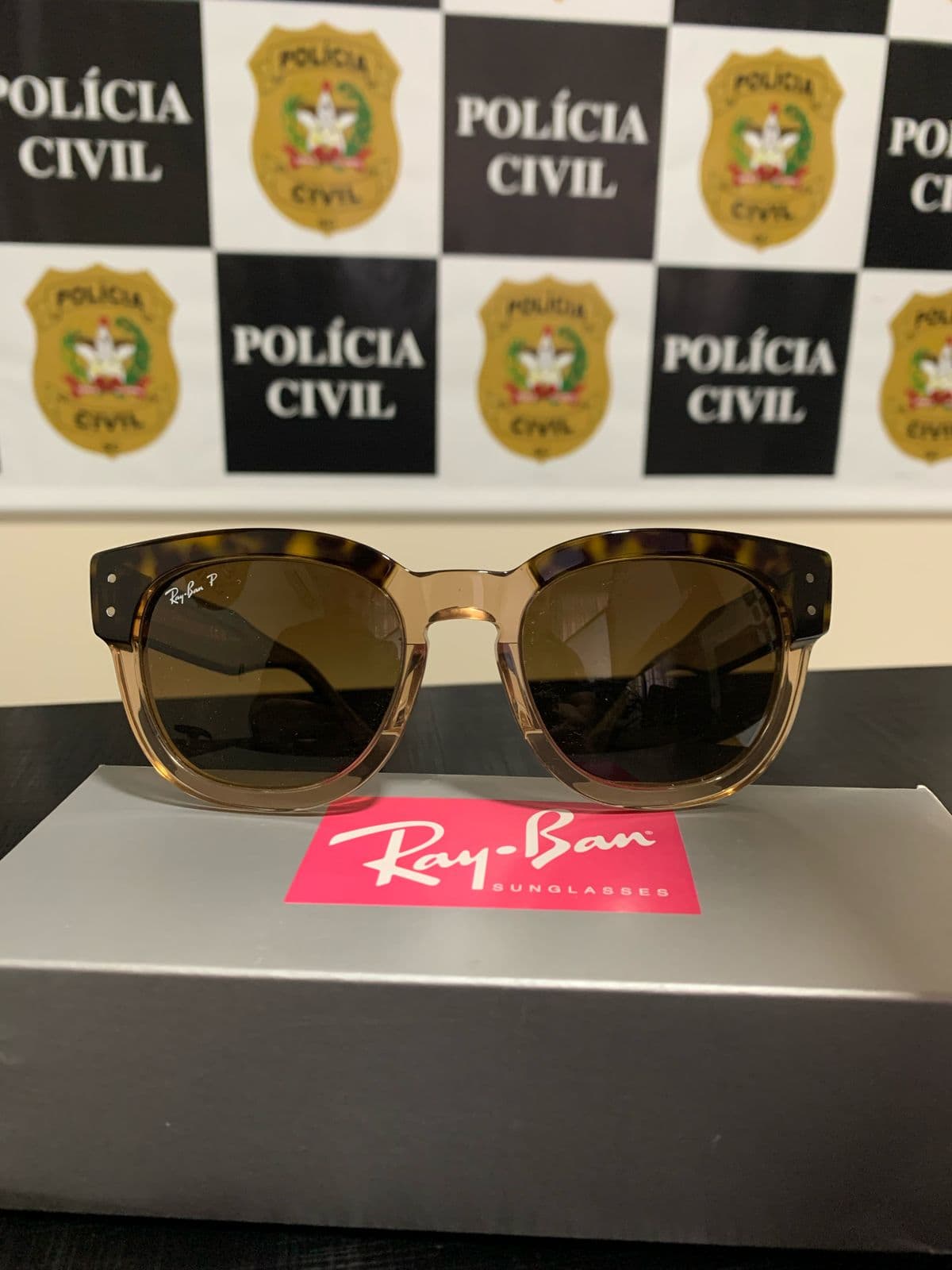 Item foi recuperado após mandado de busca e apreensão (Foto: Polícia Civil)