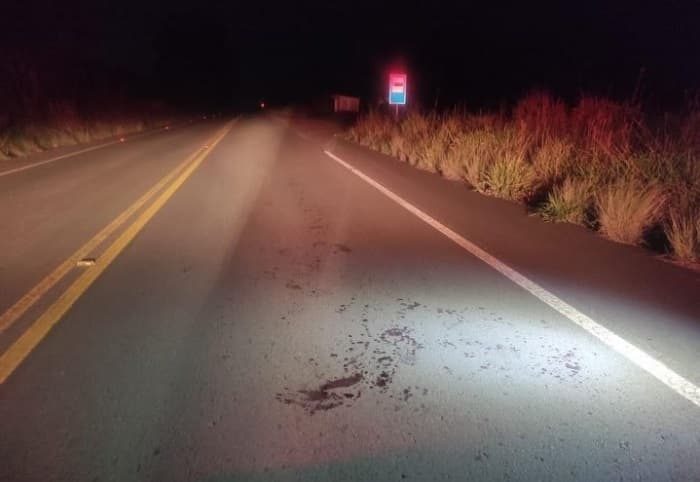 Acidente aconteceu em São Lourenço do Oeste (Foto: Polícia Militar)