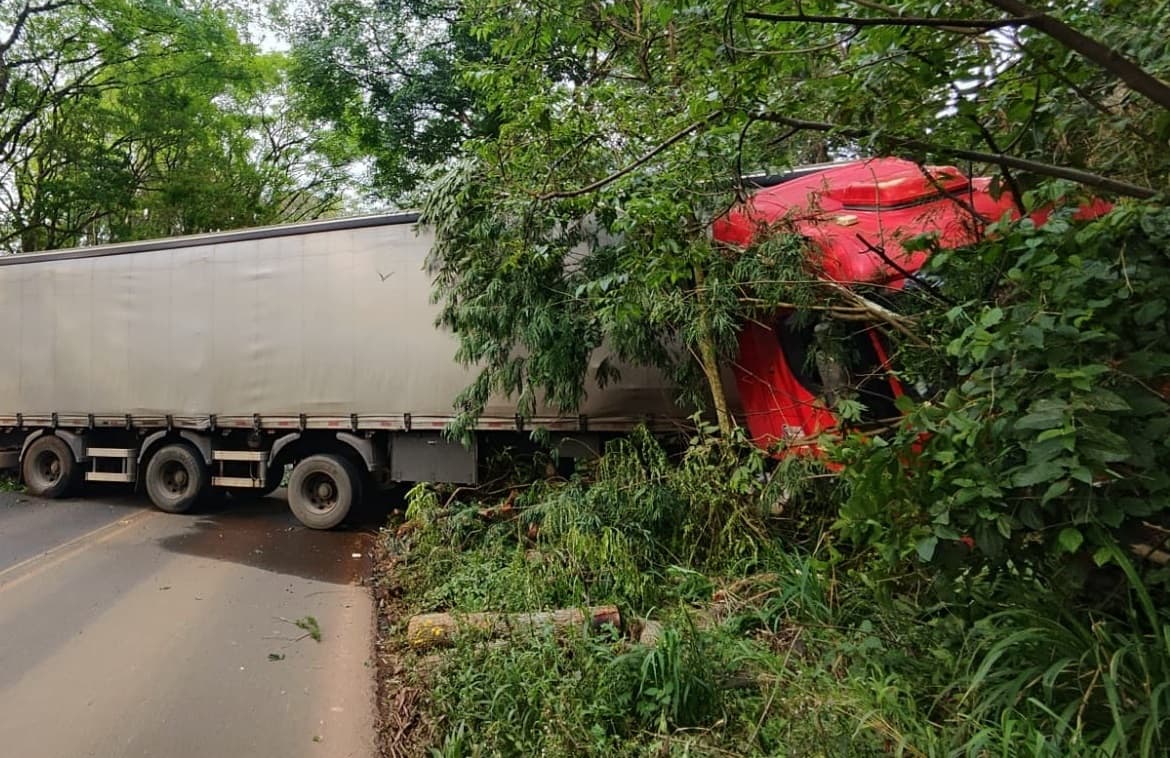 Veículo colidiu contra vegetação (Foto: Corpo de Bombeiros)
