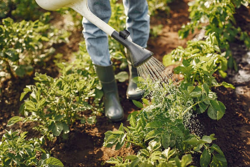 Conselho de Desenvolvimento Agropecuário vai se reunir na próxima terça (21) em Pinhalzinho (Foto: fundacao1demaio.org.br)