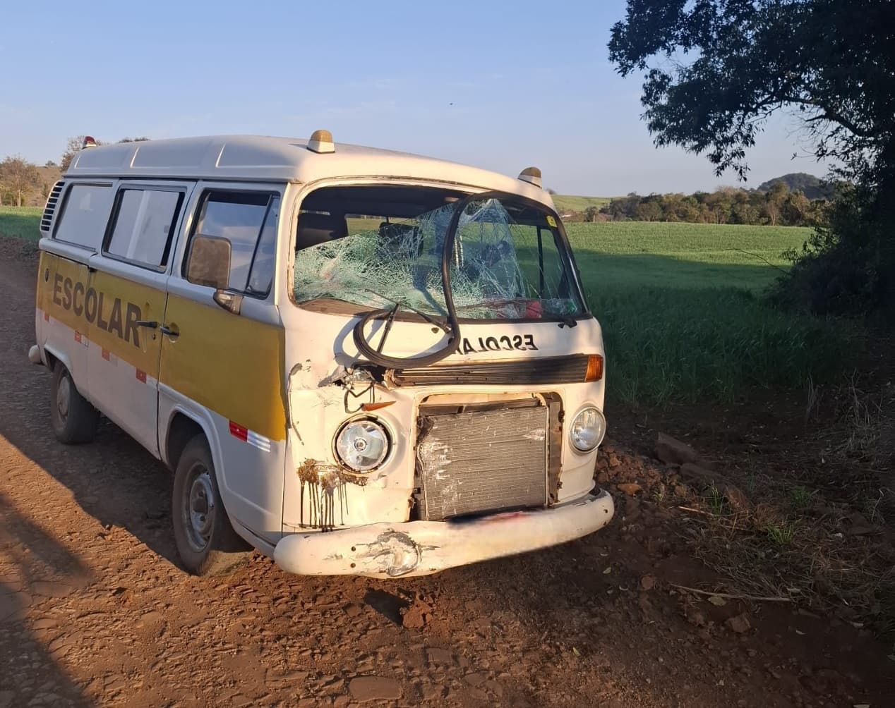 Kombi escolar se envolve em choque frontal