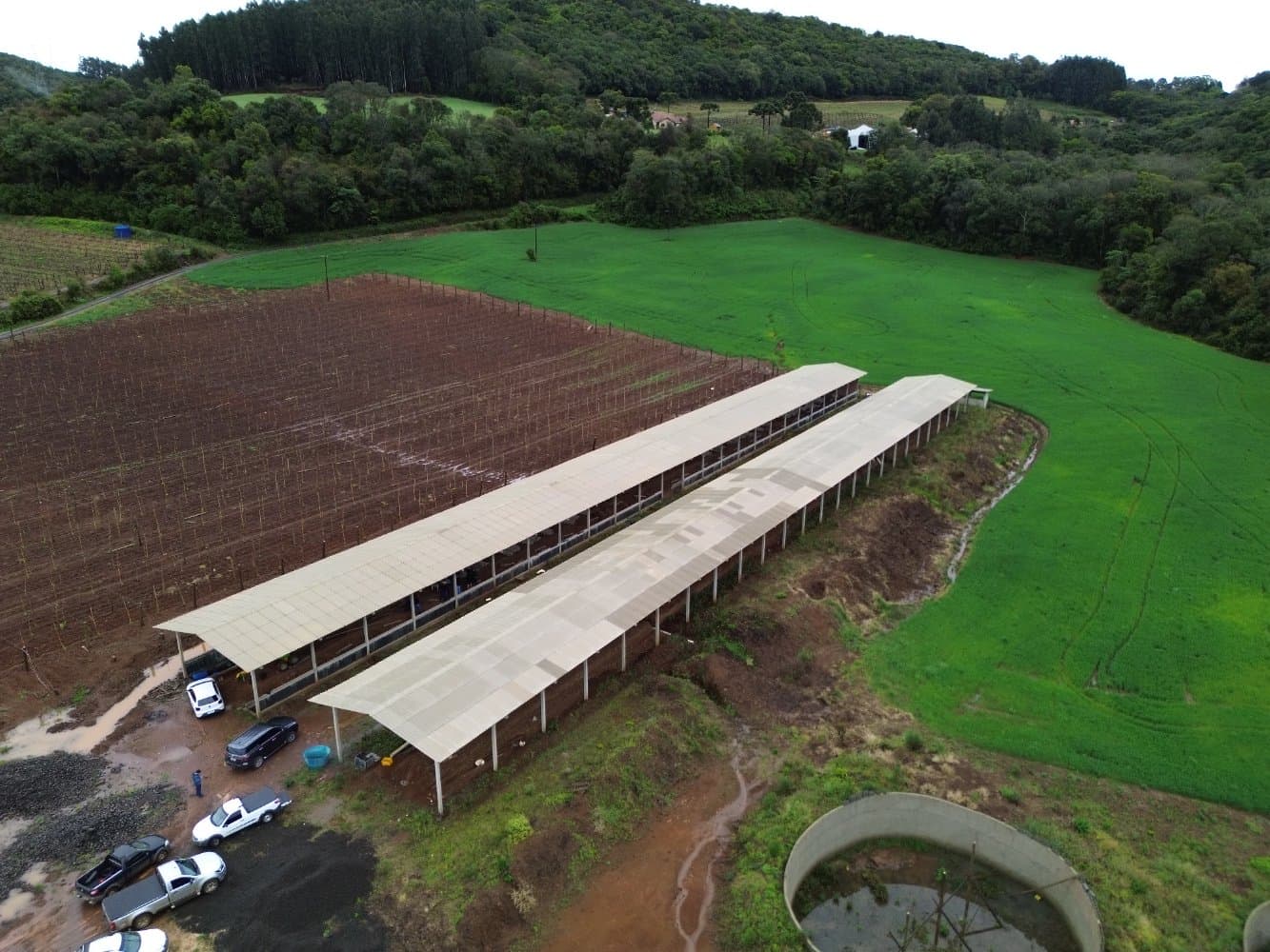 Justiça embarga granja de suínos; agricultor está impedido de trabalhar