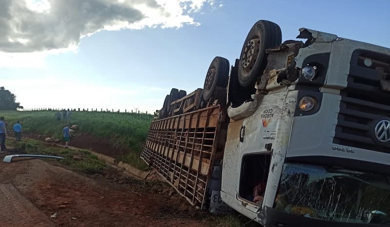 Caminhão porcadeira tomba na BR-282, em Pinhalzinho (Foto: Gilmar Bortese)